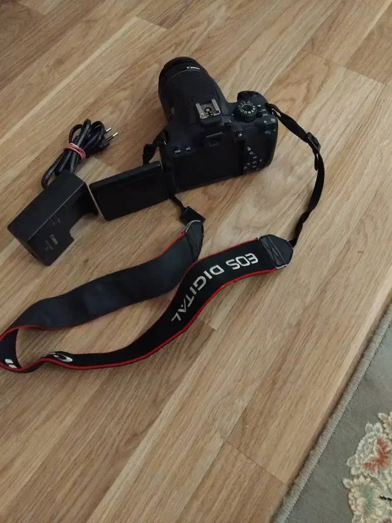 دوربین عکاسی|دوربین عکاسی و فیلمبرداری|ری, شهادت|دیوار