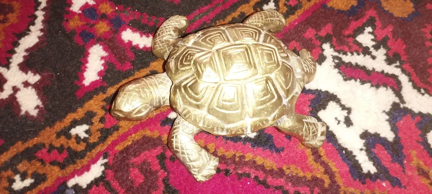 مجسمه برنز لاک پشت|مجسمه، تندیس، ماکت|تبریز, |دیوار