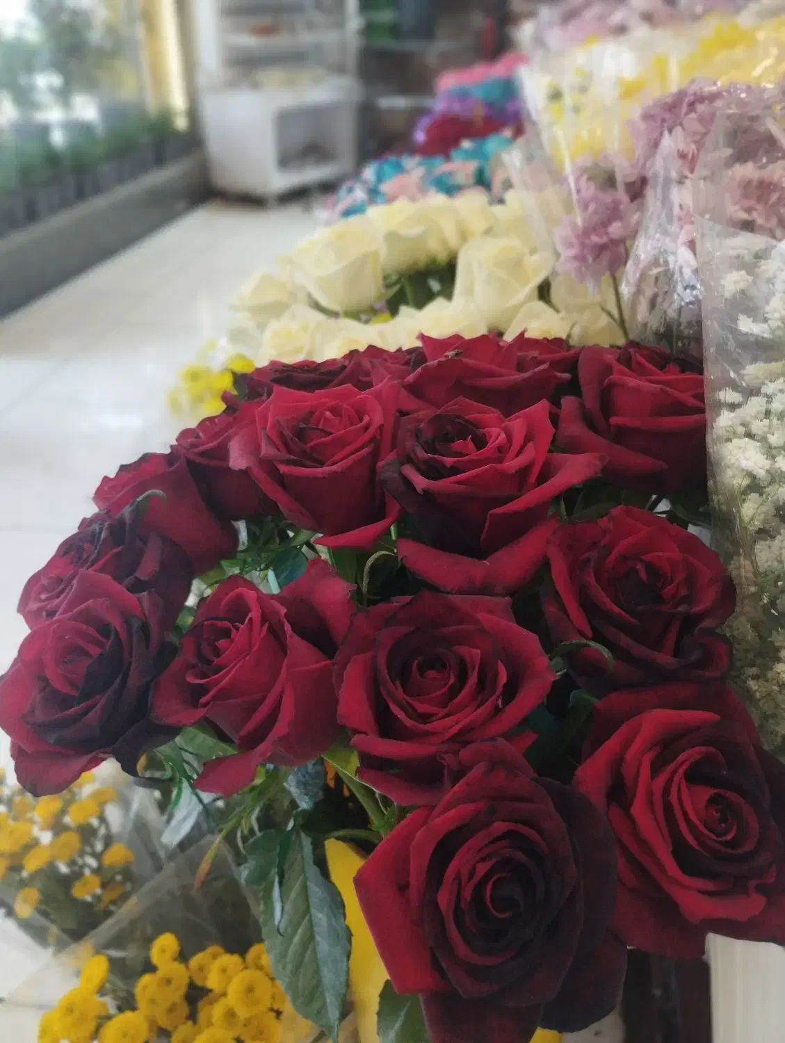 راهنمایی مشکلات زناشویی|فعالیت داوطلبانه|سرپل ذهاب, |دیوار