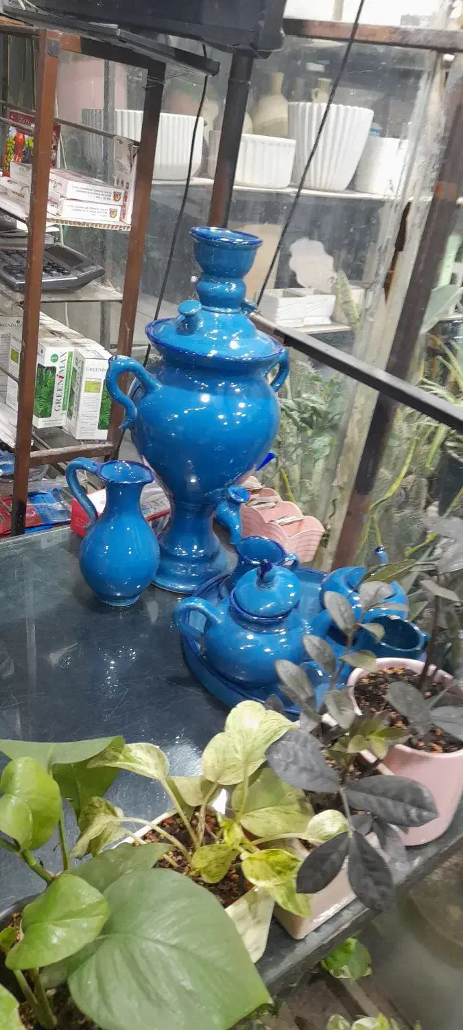 گل وگلدان|گل و گیاه طبیعی|مشهد, رده|دیوار