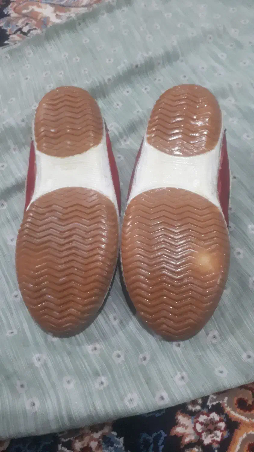 کفش فوتسال شماره ۴۳ به ۴۲ میخوره|کیف، کفش، کمربند|دورود, |دیوار