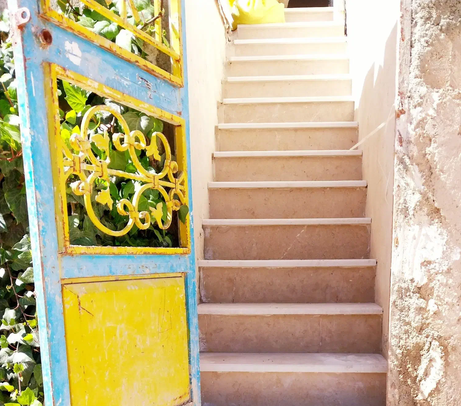 بنا کاشی سرامیک|خدمات پیشه و مهارت|شیراز, شیخ علی چوپان|دیوار