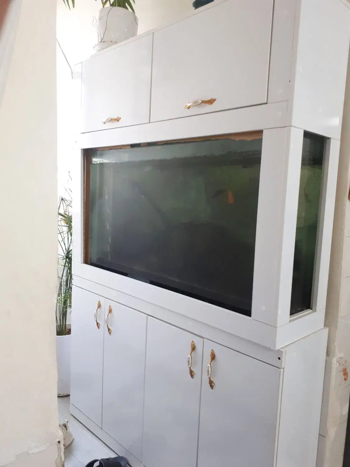 جا کفشی بزرگ با دکور آکواریوم|جاکفشی، کمد، دراور|شیراز, میانرود|دیوار