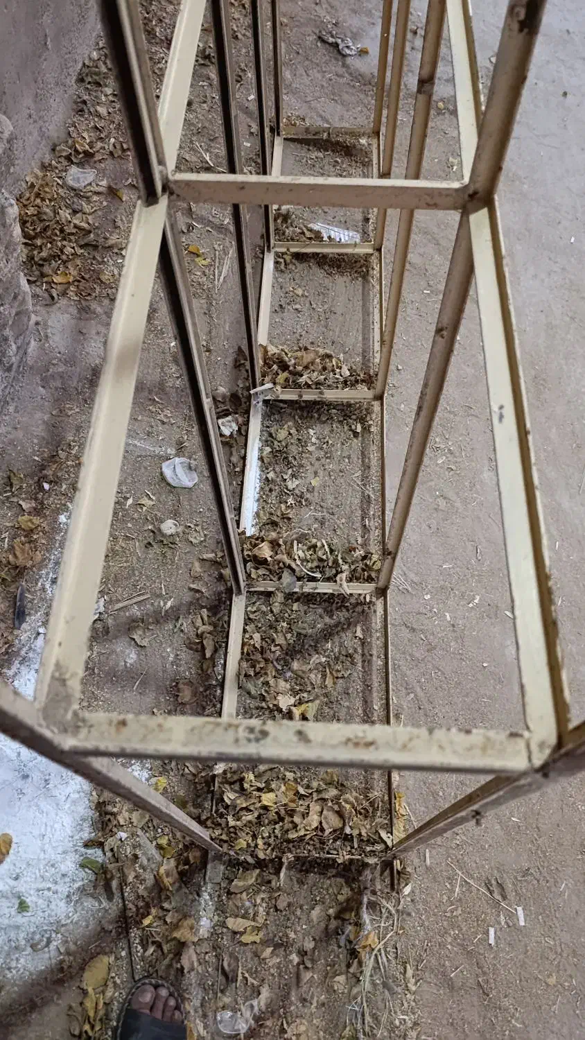 یک قفسه آهنی و یک میز|فروشگاه و مغازه|جهرم, |دیوار