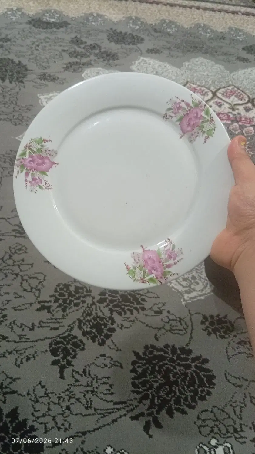 بشقاب|ظروف سرو و پذیرایی|گرگان, |دیوار
