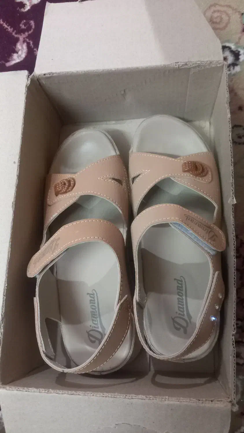 کفش|کیف، کفش، کمربند|سوسنگرد, |دیوار