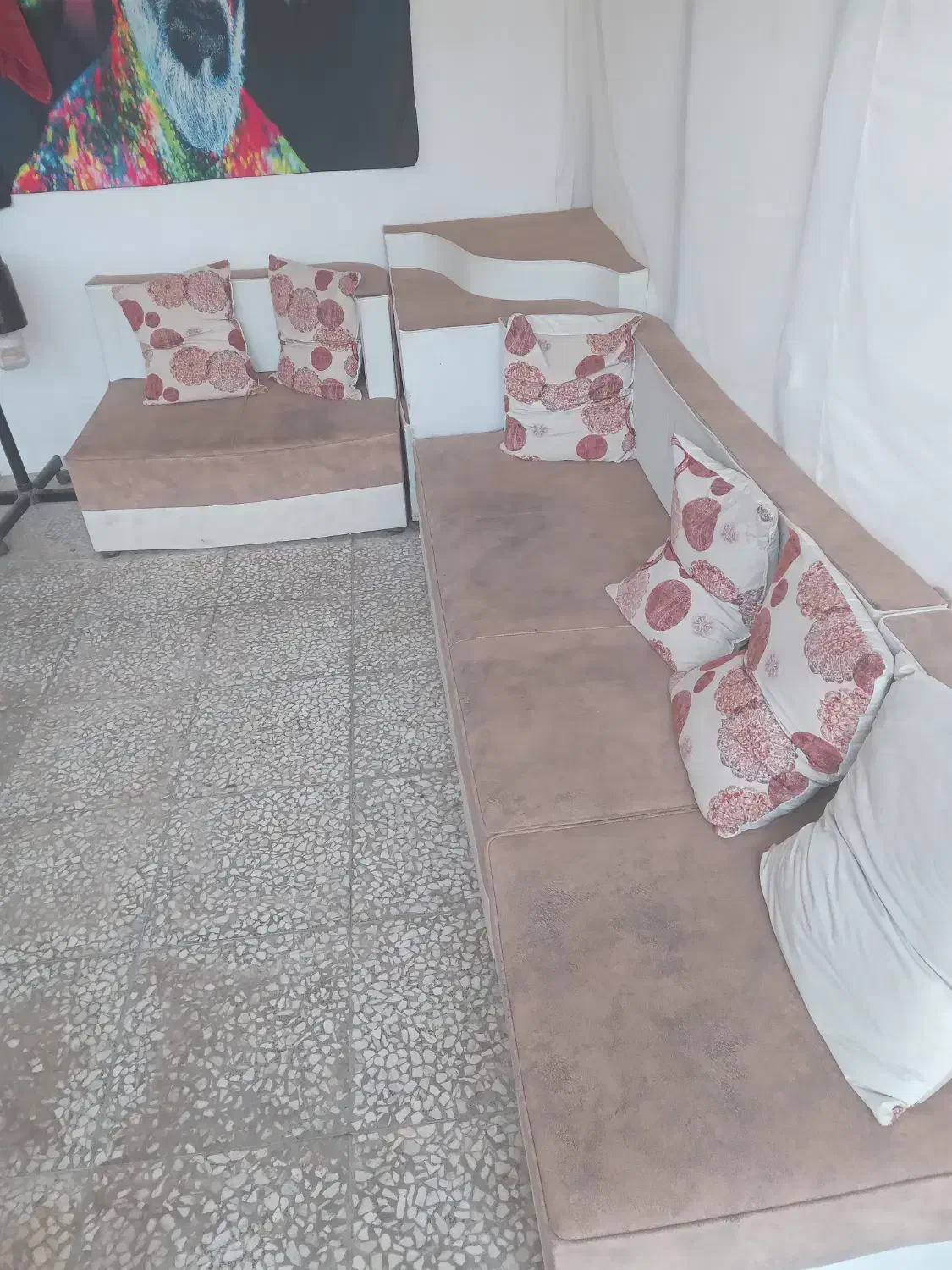 دکوراسیون آرایشگاه|آرایشگاه و سالن‌های زیبایی|قیدار, |دیوار