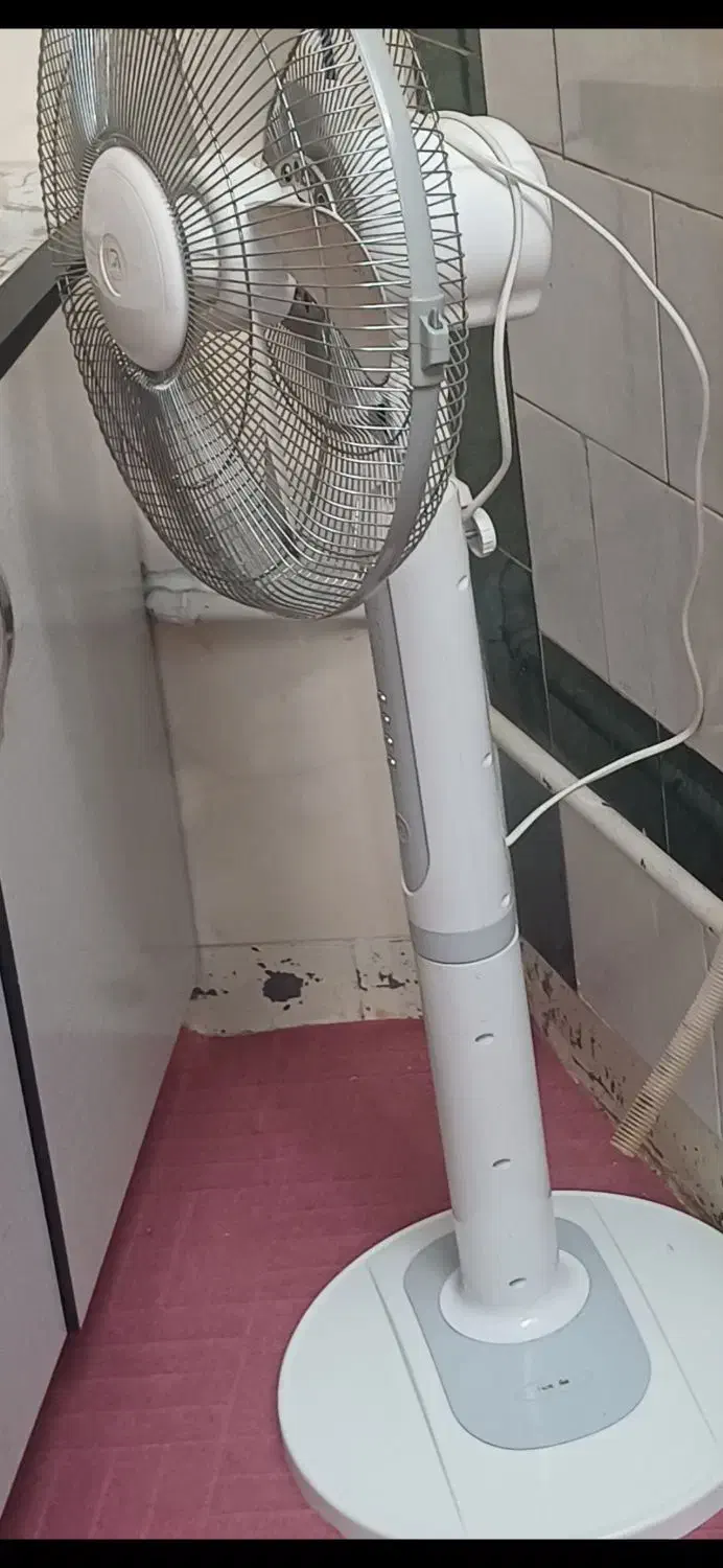 پنکه ایستاده|پنکه و تصفیهکنندهٔ هوا|شیراز, پودنک|دیوار