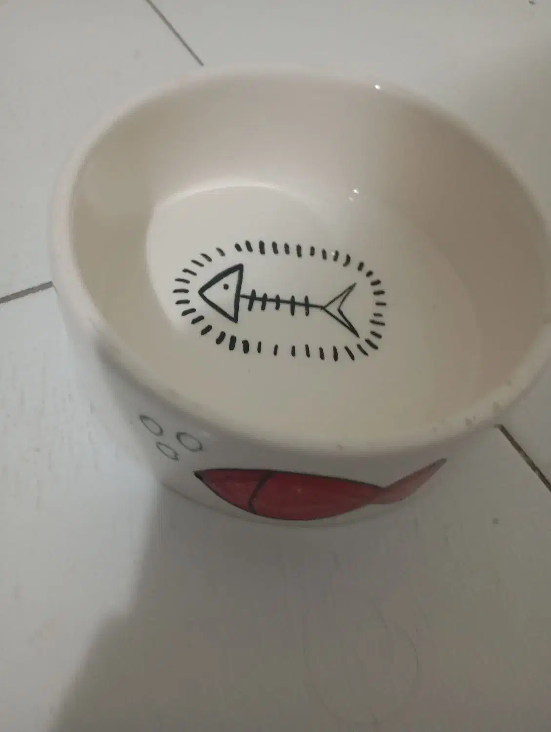 وسایل گربه|لوازم جانبی حیوانات|تهران, مجیدآباد|دیوار