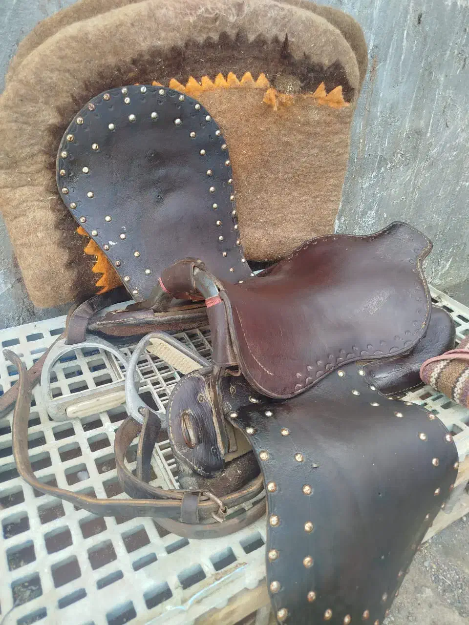 زین|اسب و تجهیزات اسب‌سواری|شوشتر, |دیوار