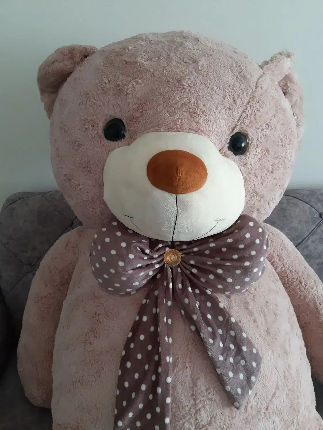 عروسک تدی بزرگ|اسباببازی بچه|پردیس, فاز ۱۱|دیوار