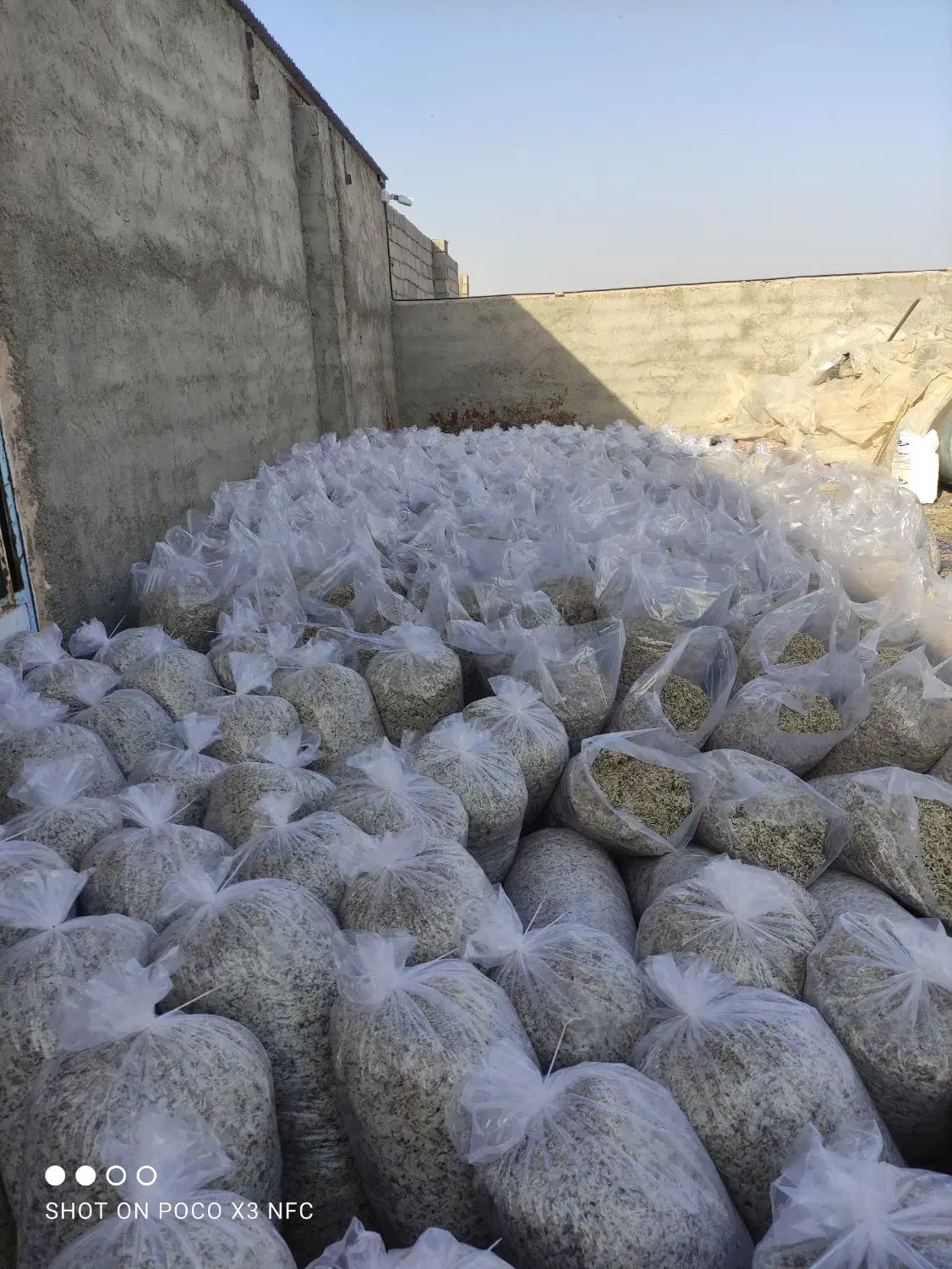 تفاله چقندر|لوازم جانبی حیوانات|فردوس (خراسان), |دیوار