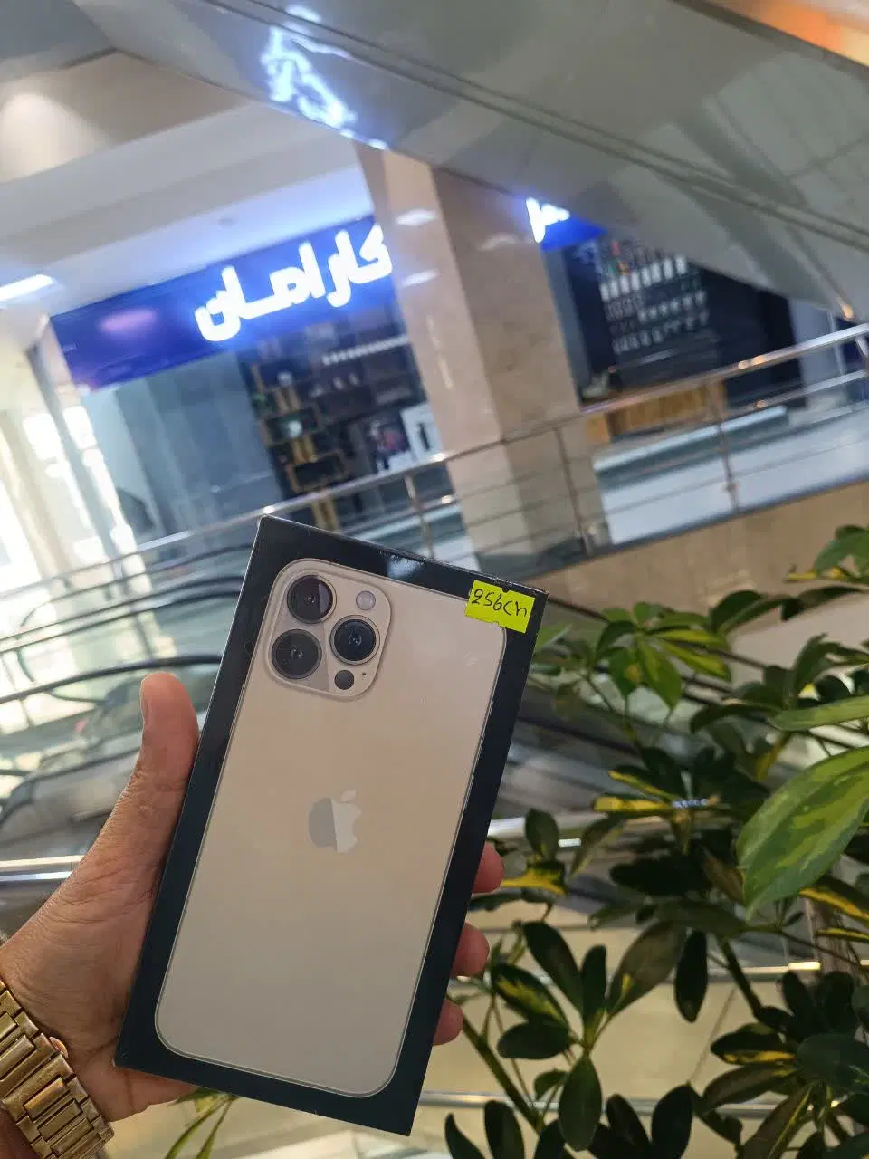 آیفون ۱۲ ۱۳ ۱۴ ۱۵ پرو مکس ۲۵۶|موبایل|مشهد, عامل|دیوار