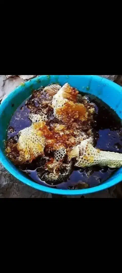 عسل کوهی استان فارس اصل برای خواص درمانی|خوردنی و آشامیدنی|شاهینشهر, مخابرات (شهید بهشتی)|دیوار