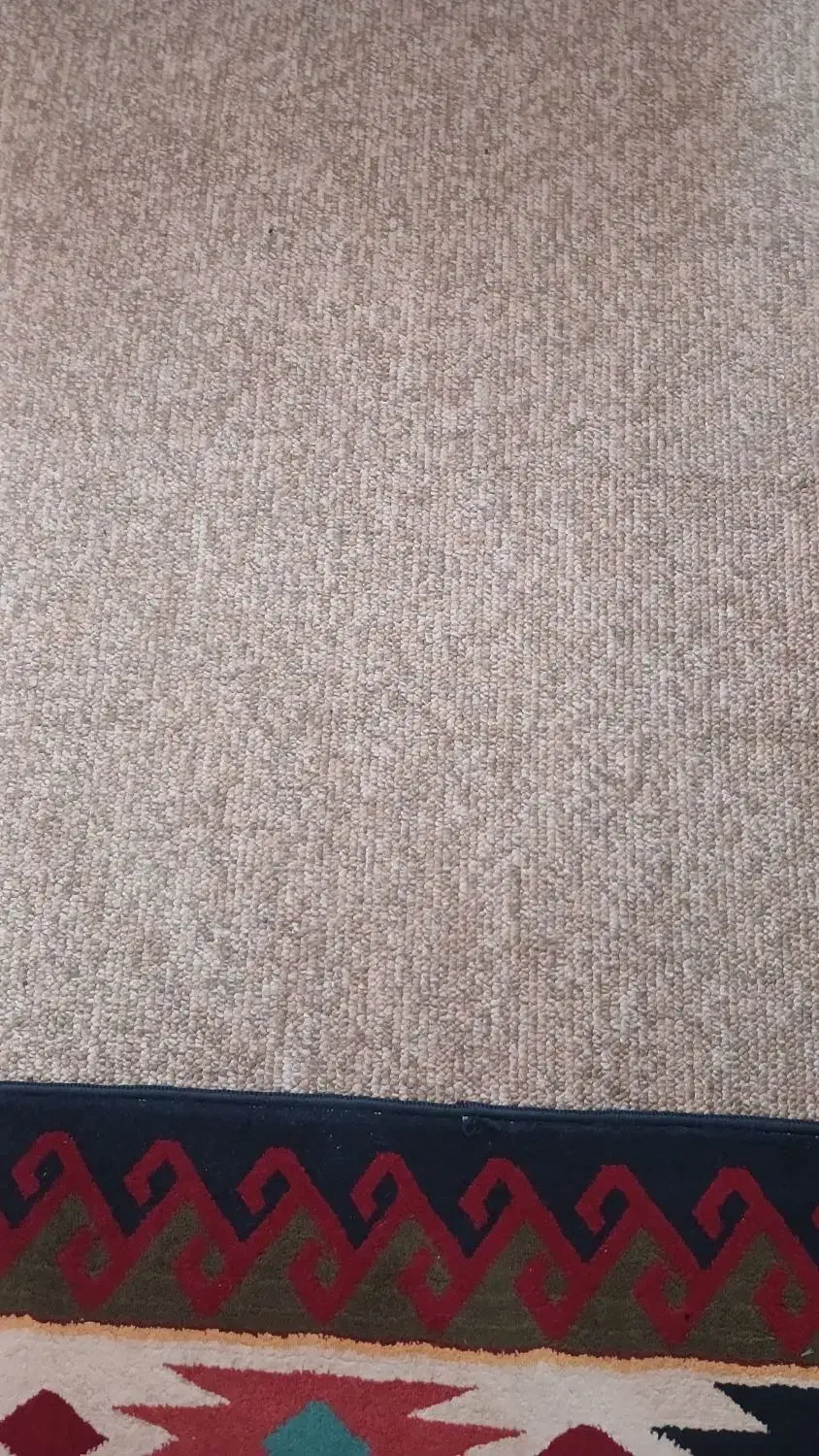 ۲عدد پالاز موکت دوازده متری|موکت|بروجرد, |دیوار