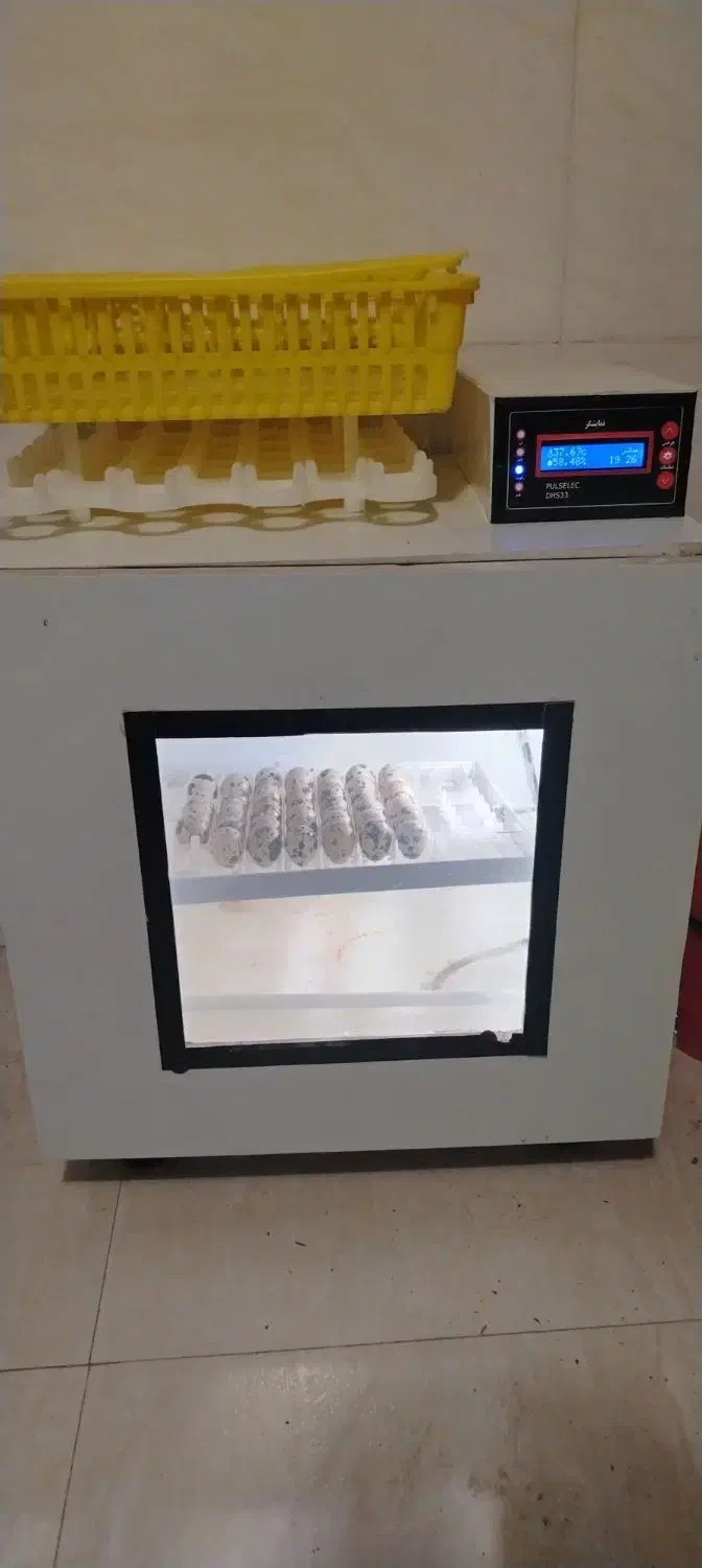 دستگاه جوجه کشی 42 تایی|لوازم جانبی حیوانات|نیشابور, میدان حافظ|دیوار