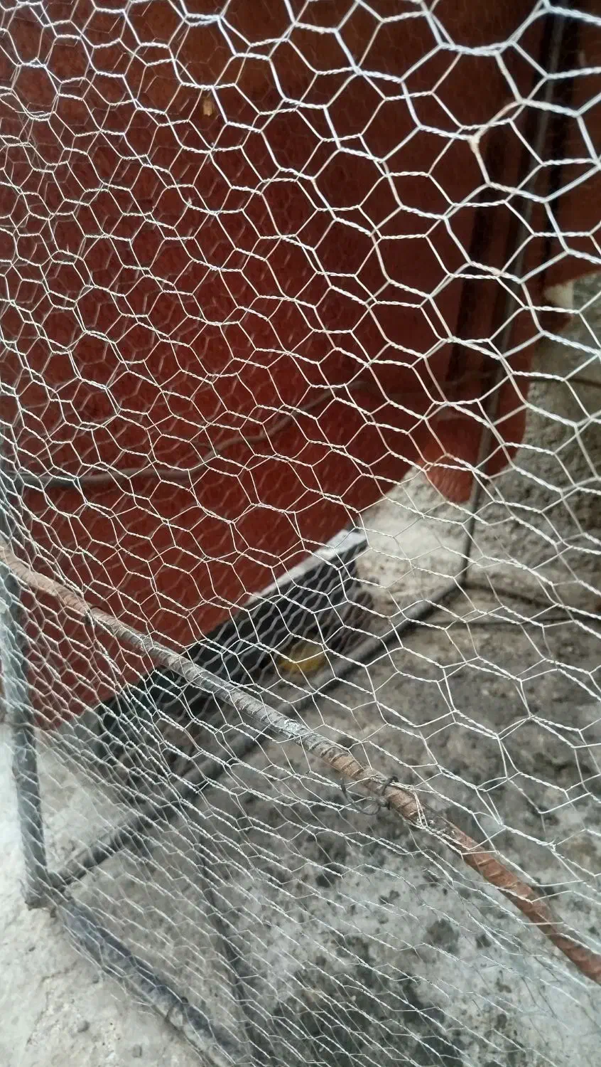 قفس بزرگ1/10در1مناسب مرغ خروس کبوترمرغ عشق|لوازم جانبی حیوانات|ایرانشهر, |دیوار