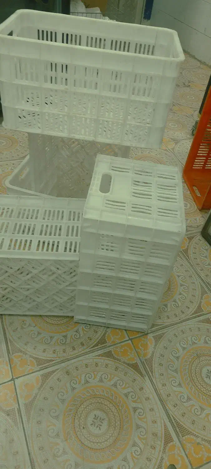 سبد پلاستیکی|فروشگاه و مغازه|خاش, |دیوار