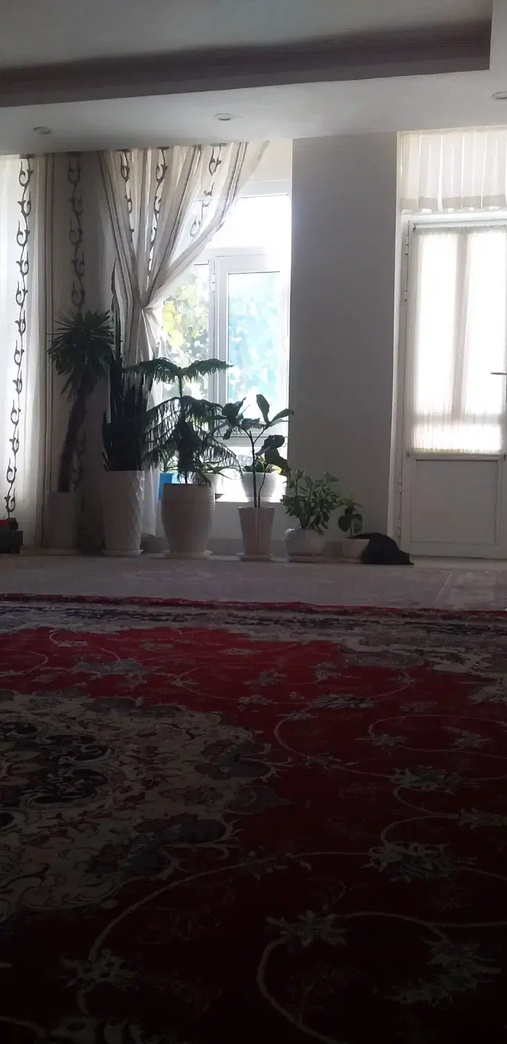 خط فروشی|سیم‌کارت|ایوان, |دیوار