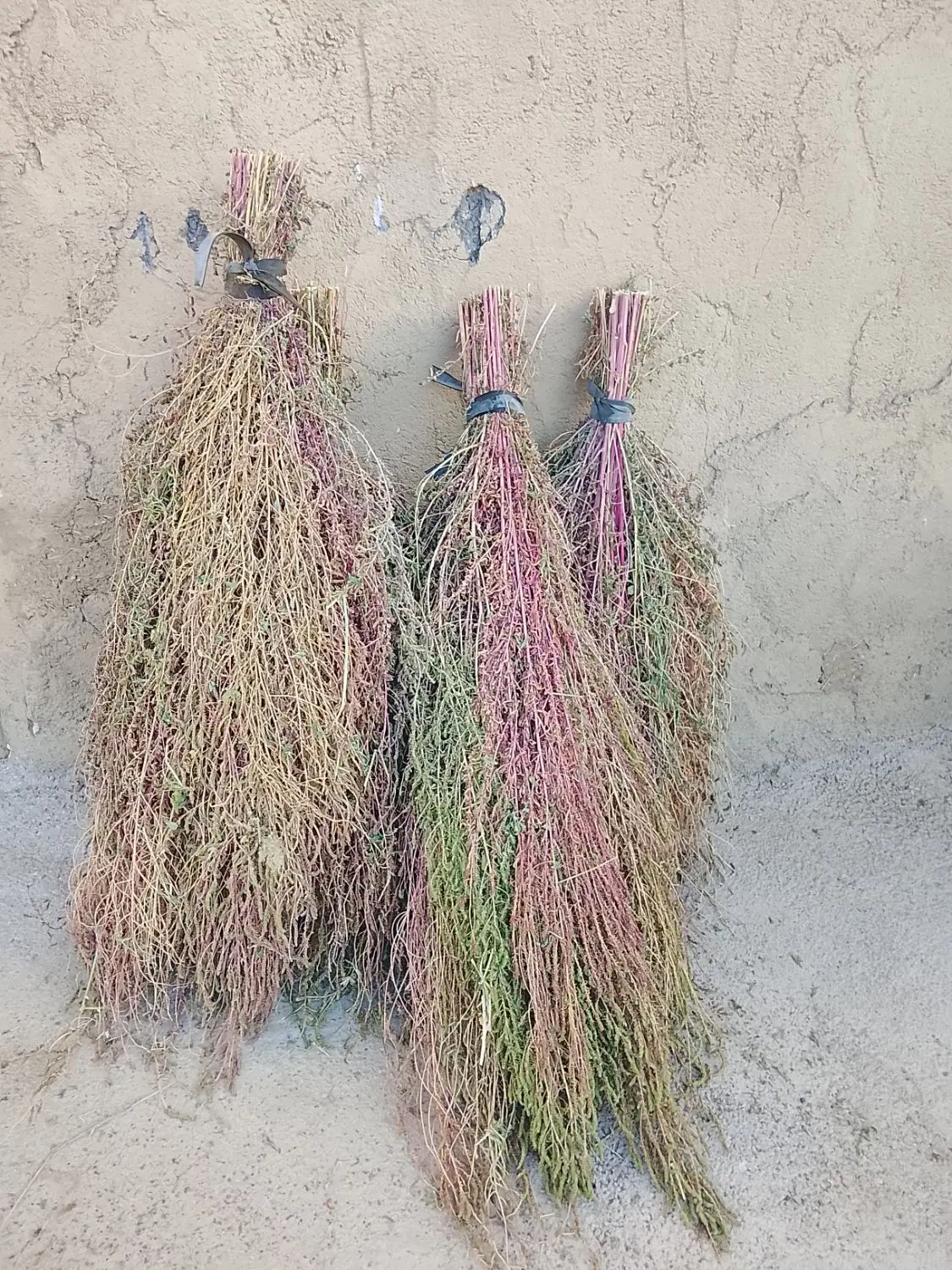 جارو|جاروبرقی، جارو شارژی، بخارشو|ملایر, |دیوار