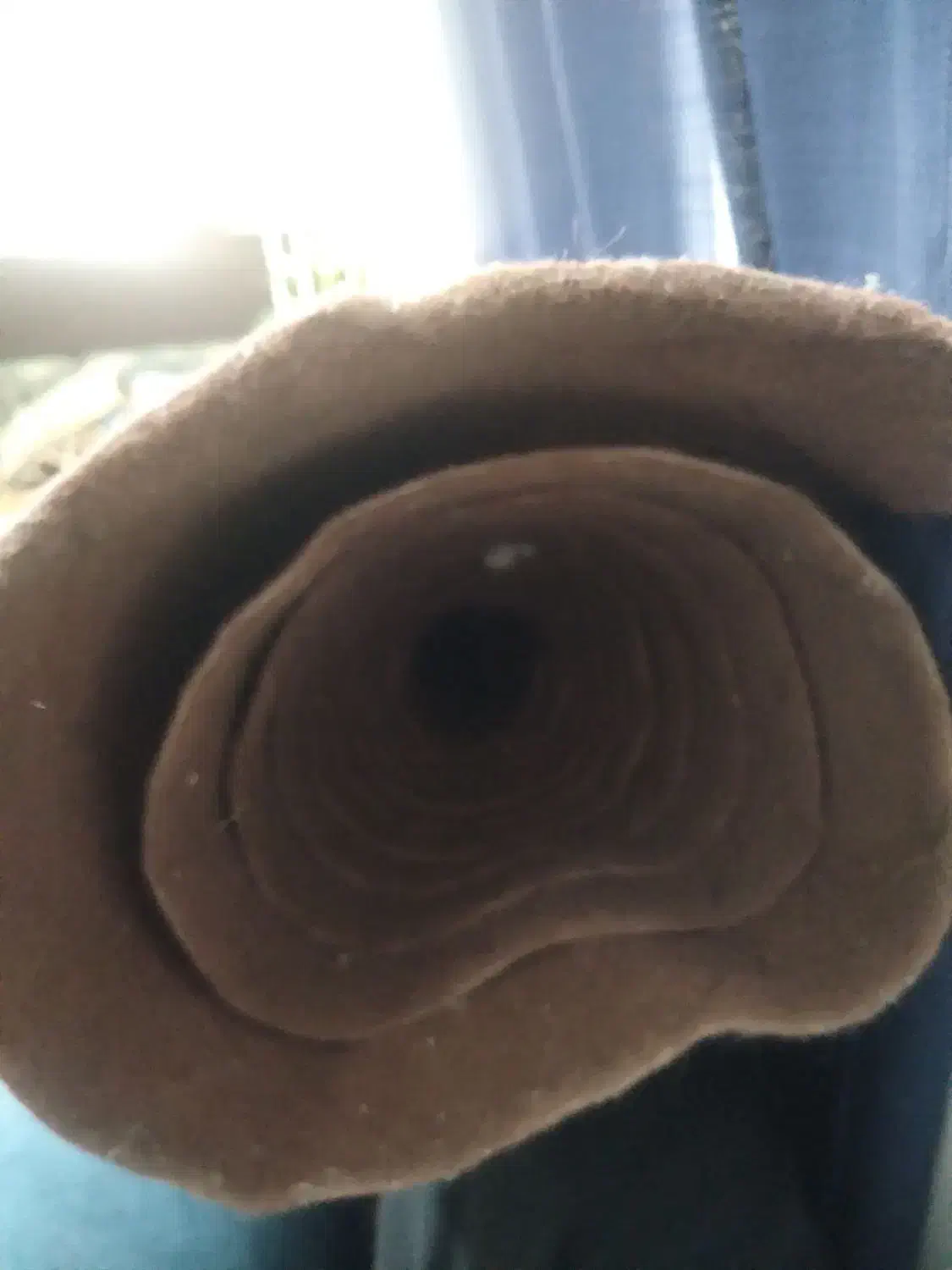 گلیم فرش وموکت|فرش|فاضل آباد, |دیوار