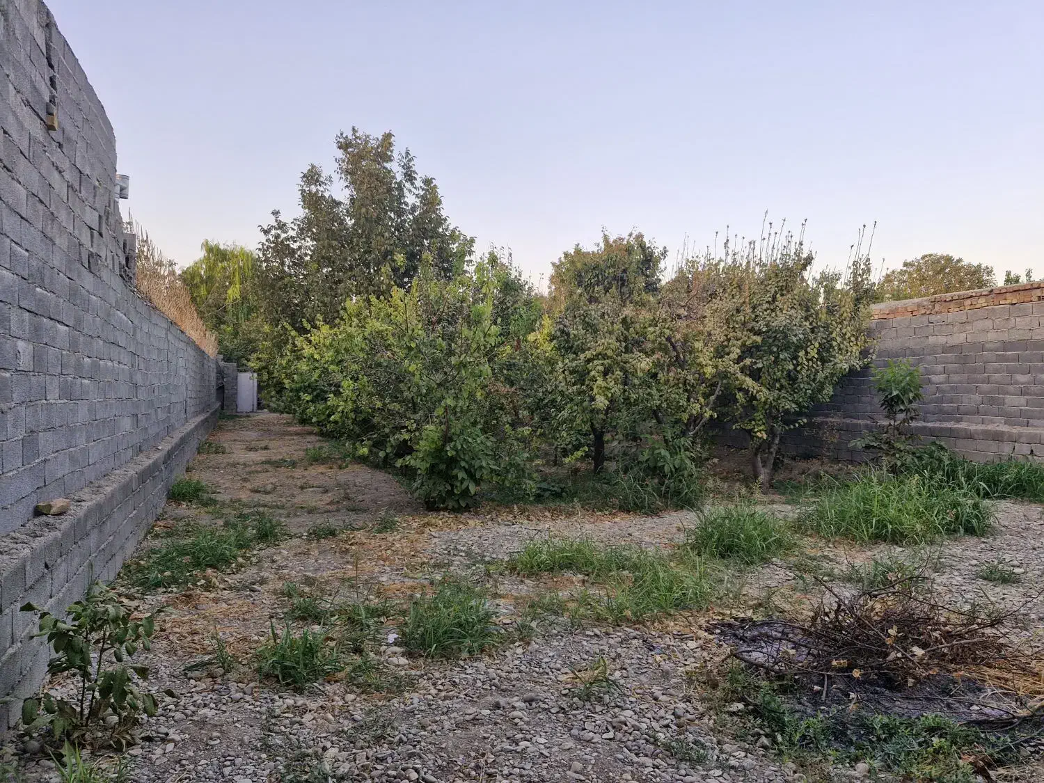 ملارد لم آباد کوچه رضوان ۵۸۰ متر باغ چهار دیواری|فروش زمین و ملک کلنگی|تهران, میدان میوه و تره‌بار مرکزی|دیوار
