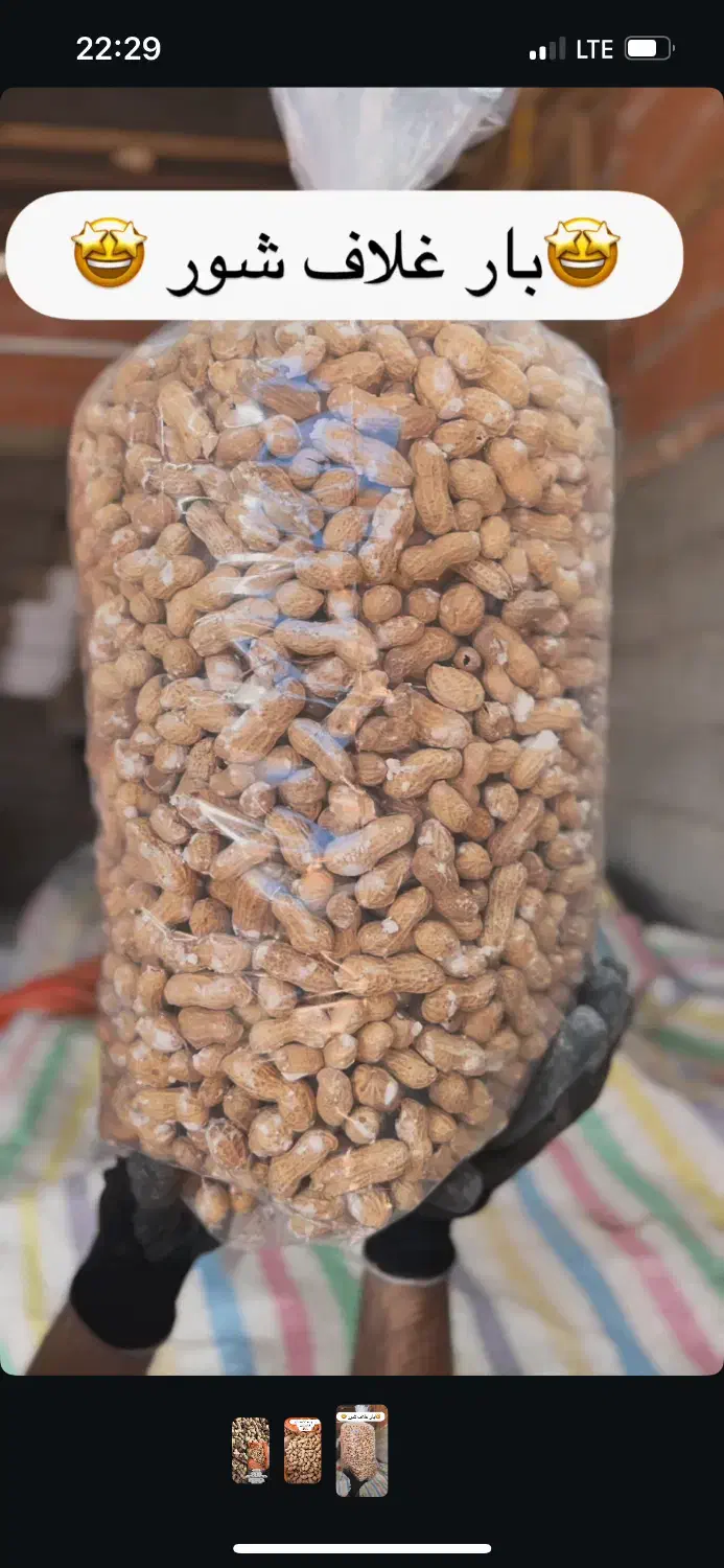 بادام|خوردنی و آشامیدنی|پارس‌آباد, |دیوار