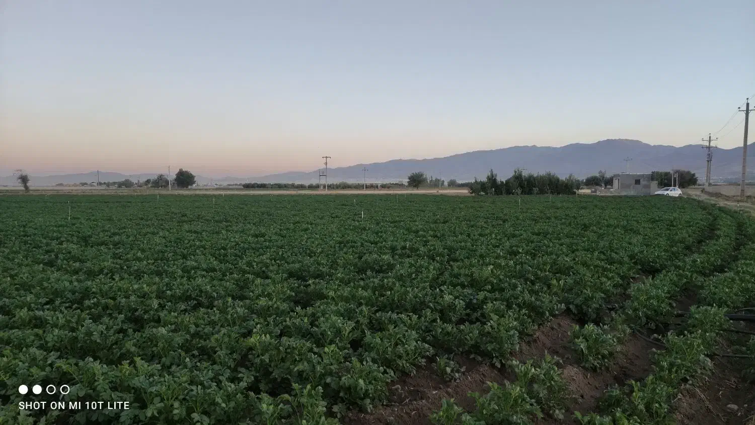 زمین کشاورزی و باغی به متراژ ده هزار و سیصد متر|فروش دفتر صنعتی، کشاورزی، تجاری|همدان, |دیوار