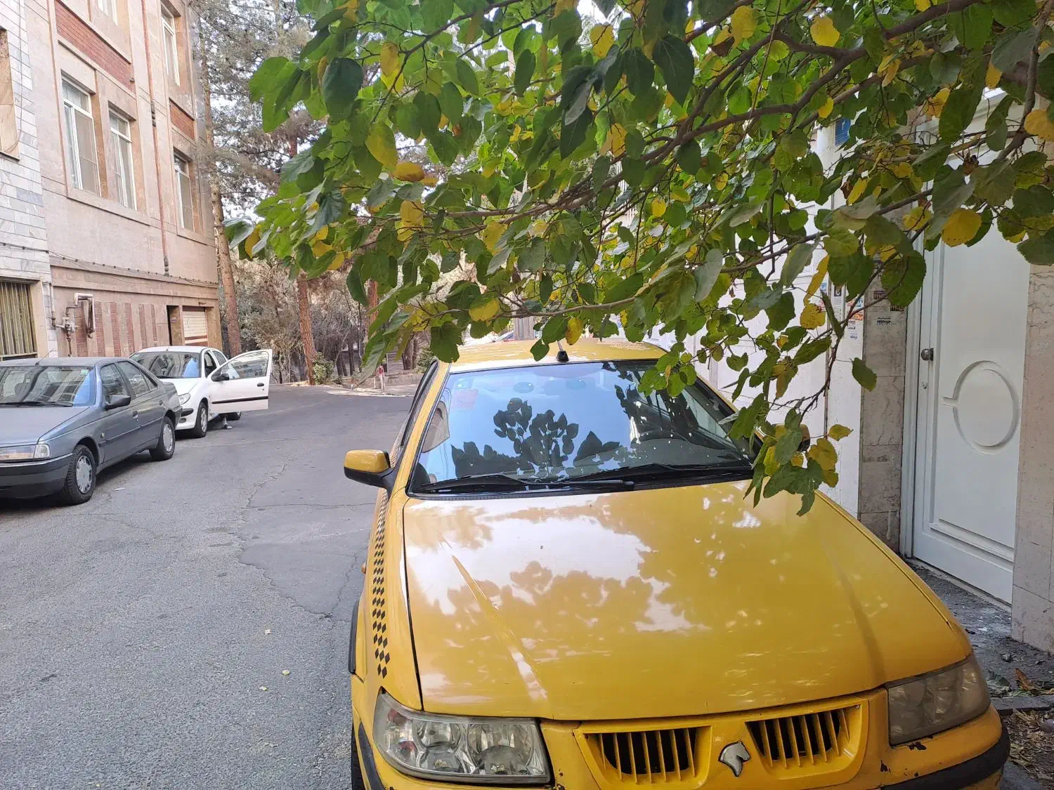 سمند EF7 دوگانه سوز  تاکسی مدل 1393|خودرو سواری و وانت|تهران, شاهین|دیوار