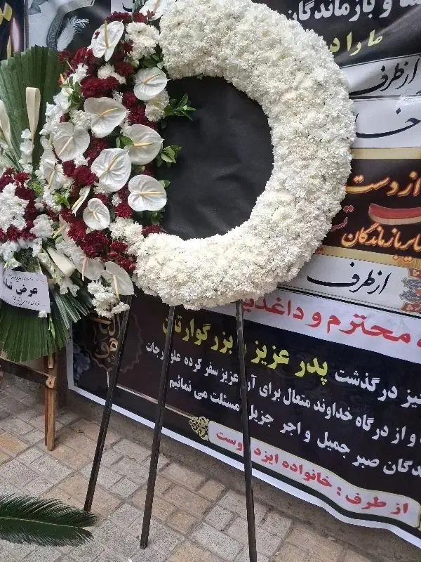 تاج گل|گل و گیاه طبیعی|شهر ری, دولتآباد|دیوار