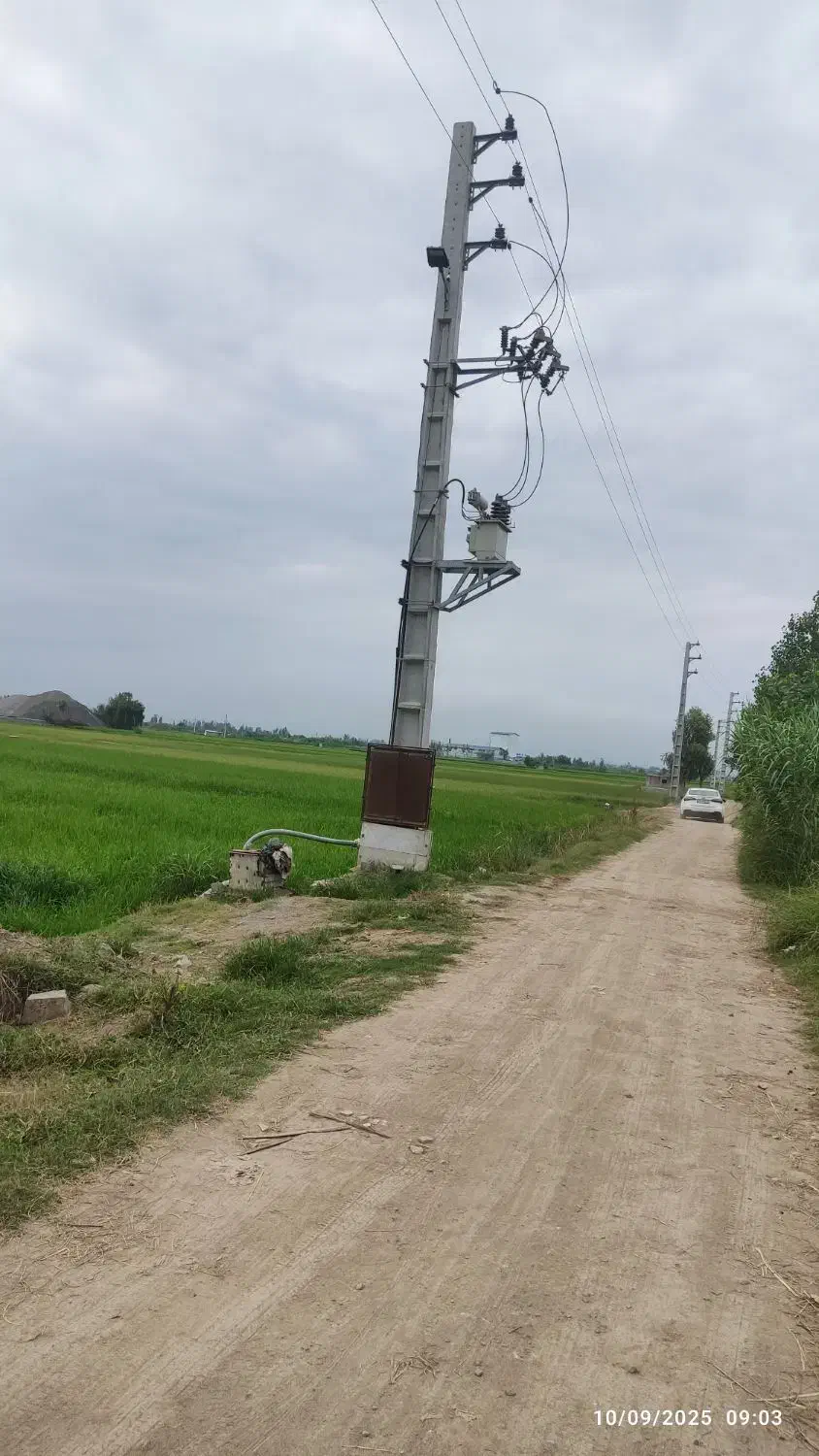 زمین کشاورزی دابودشت مازندران حقابه برق|فروش دفتر صنعتی، کشاورزی، تجاری|دابودشت, |دیوار