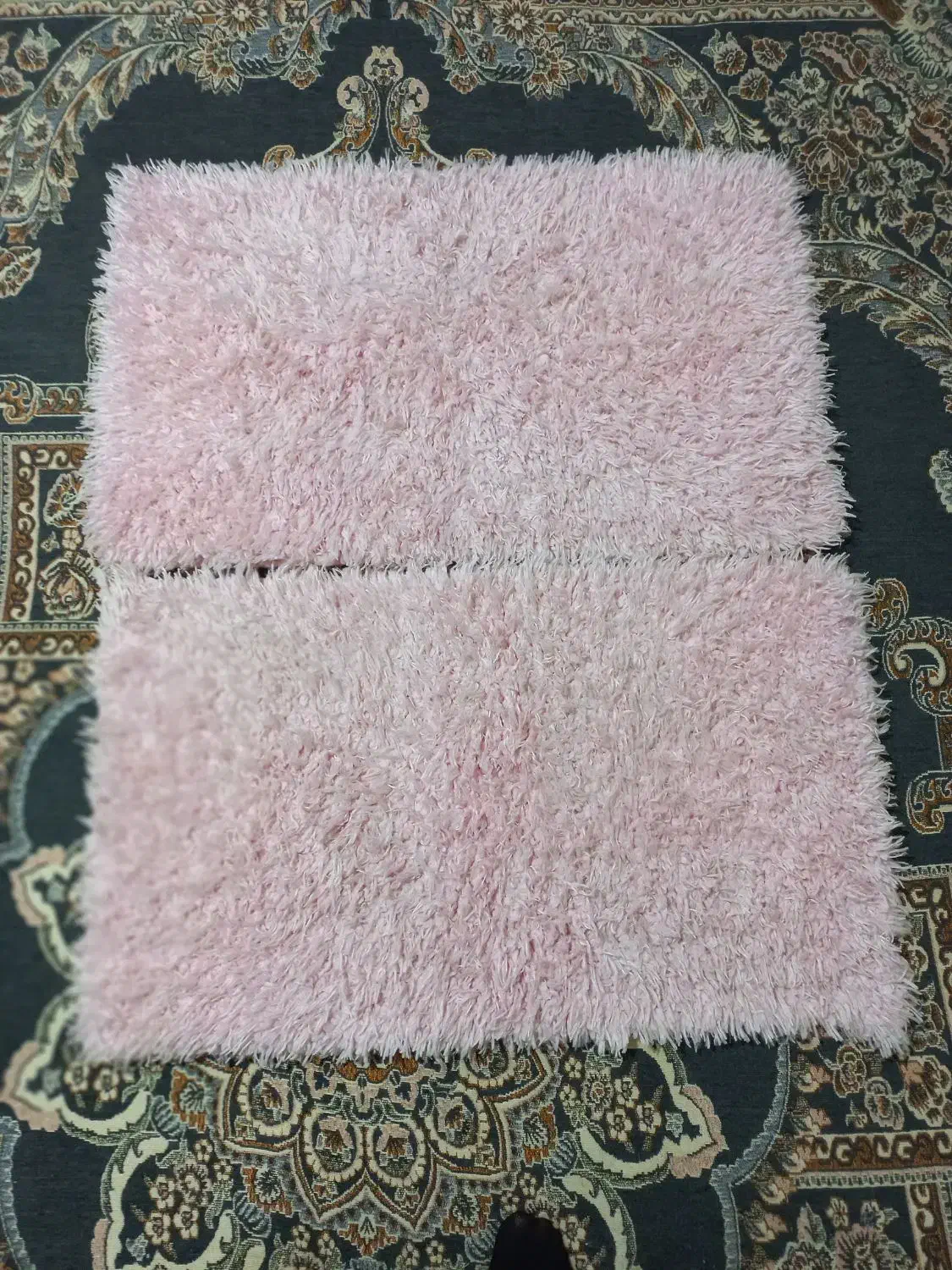 دوعددپادری پشمی|پادری|همدان, |دیوار