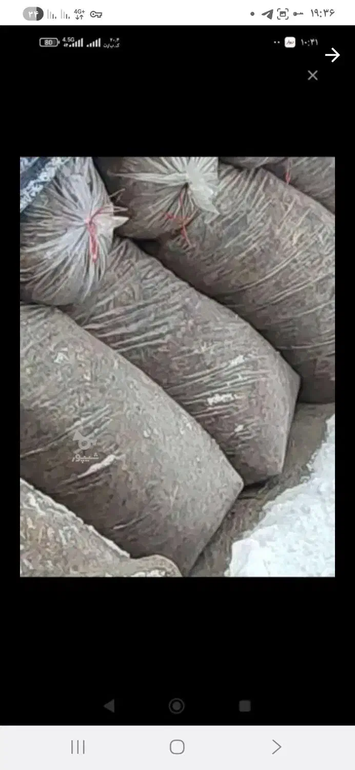 سیلوذرت‌کشت‌دوم|عمده‌فروشی|نقده, |دیوار