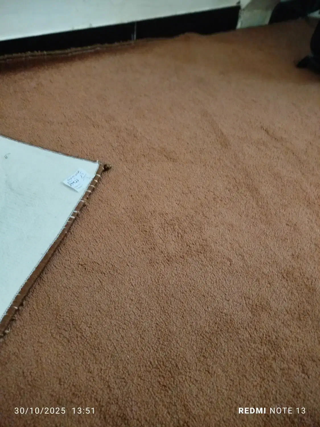 موکت و تابلو فرش|موکت|مریوان, |دیوار