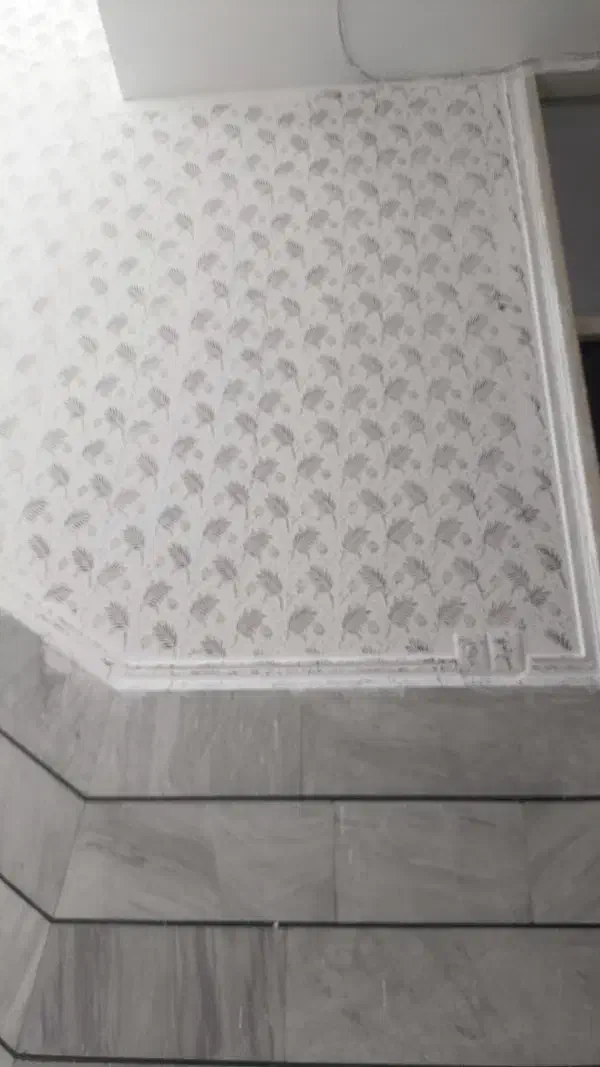 رنگ کاری ساختمان|خدمات پیشه و مهارت|الیگودرز, |دیوار