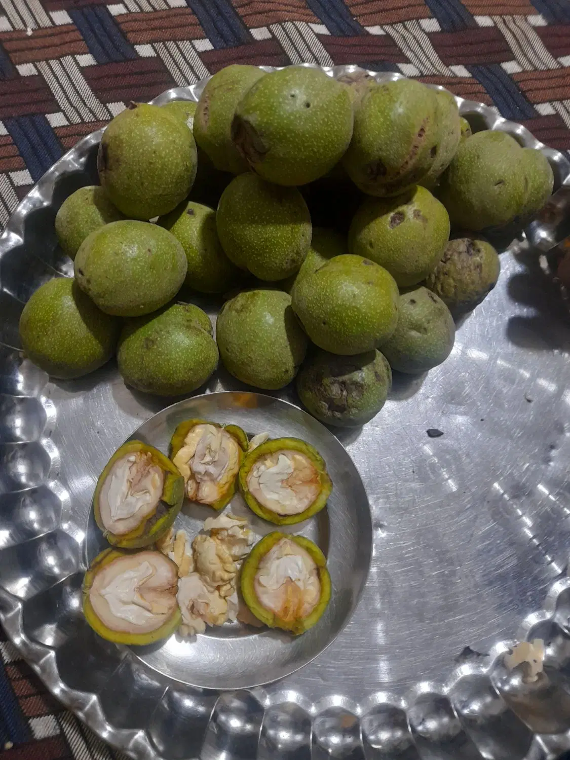 گردو تر|خوردنی و آشامیدنی|ملایر, |دیوار
