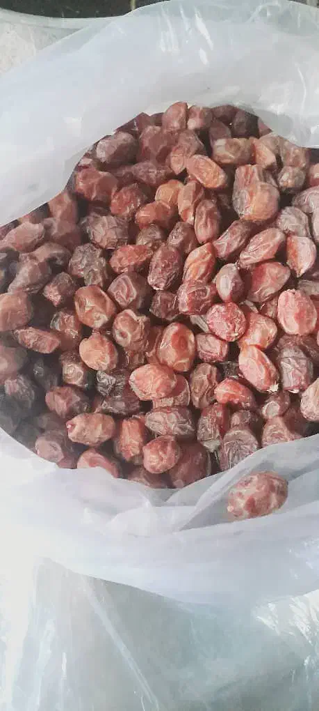 خرما خاصویی|خوردنی و آشامیدنی|گراش, |دیوار