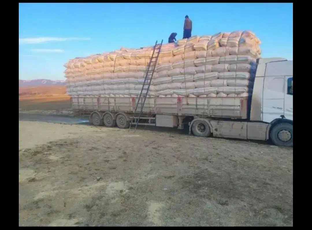 خریدار کاه دیم کمباین تناژ بالا|خدمات باغبانی و درختکاری|قروه, |دیوار