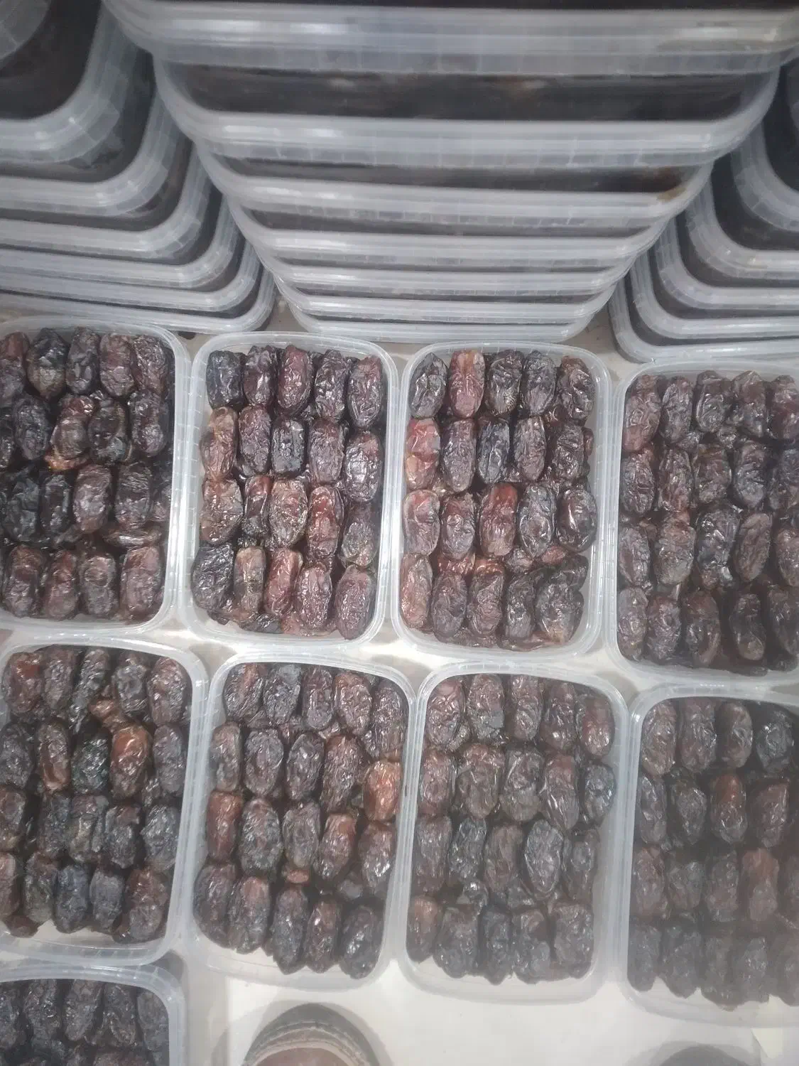 خرمای شهابی|عمده‌فروشی|آبپخش, |دیوار