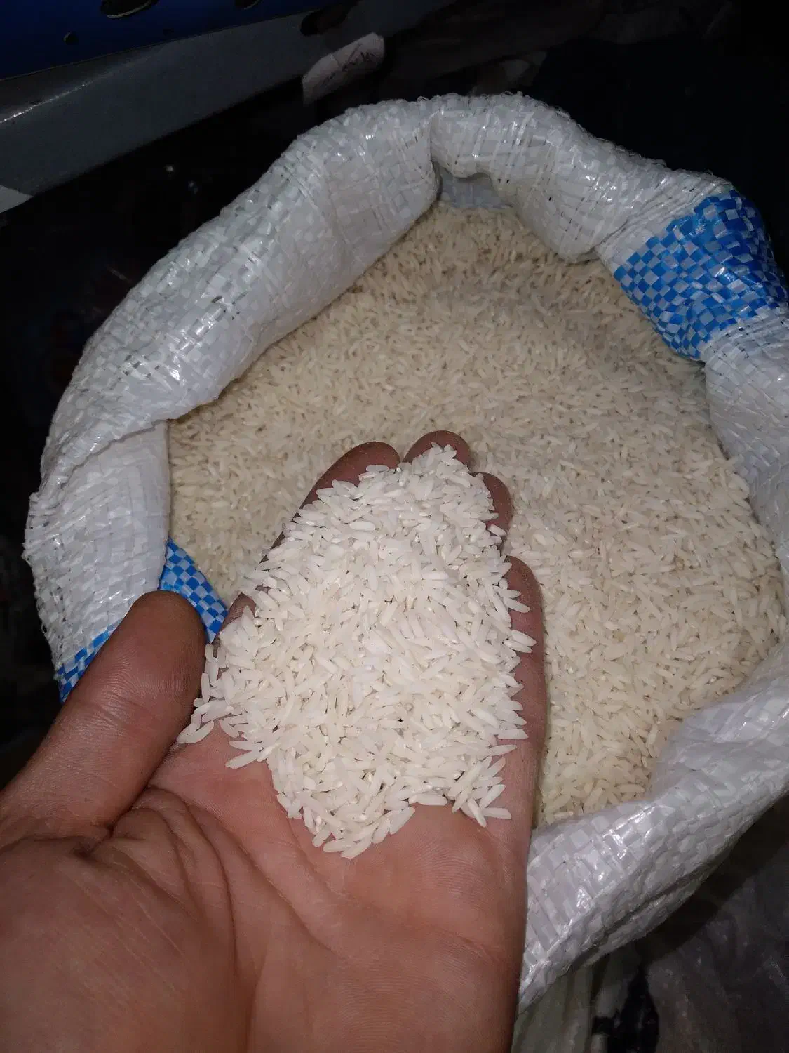 برنج صدری|عمدهفروشی|رشت, یخسازی|دیوار