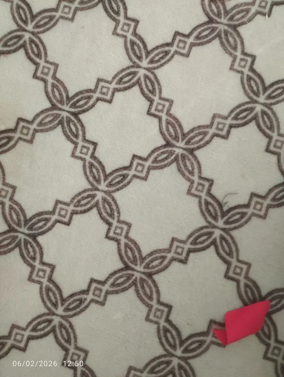 موکت درحدنو|موکت|کرمانشاه, |دیوار