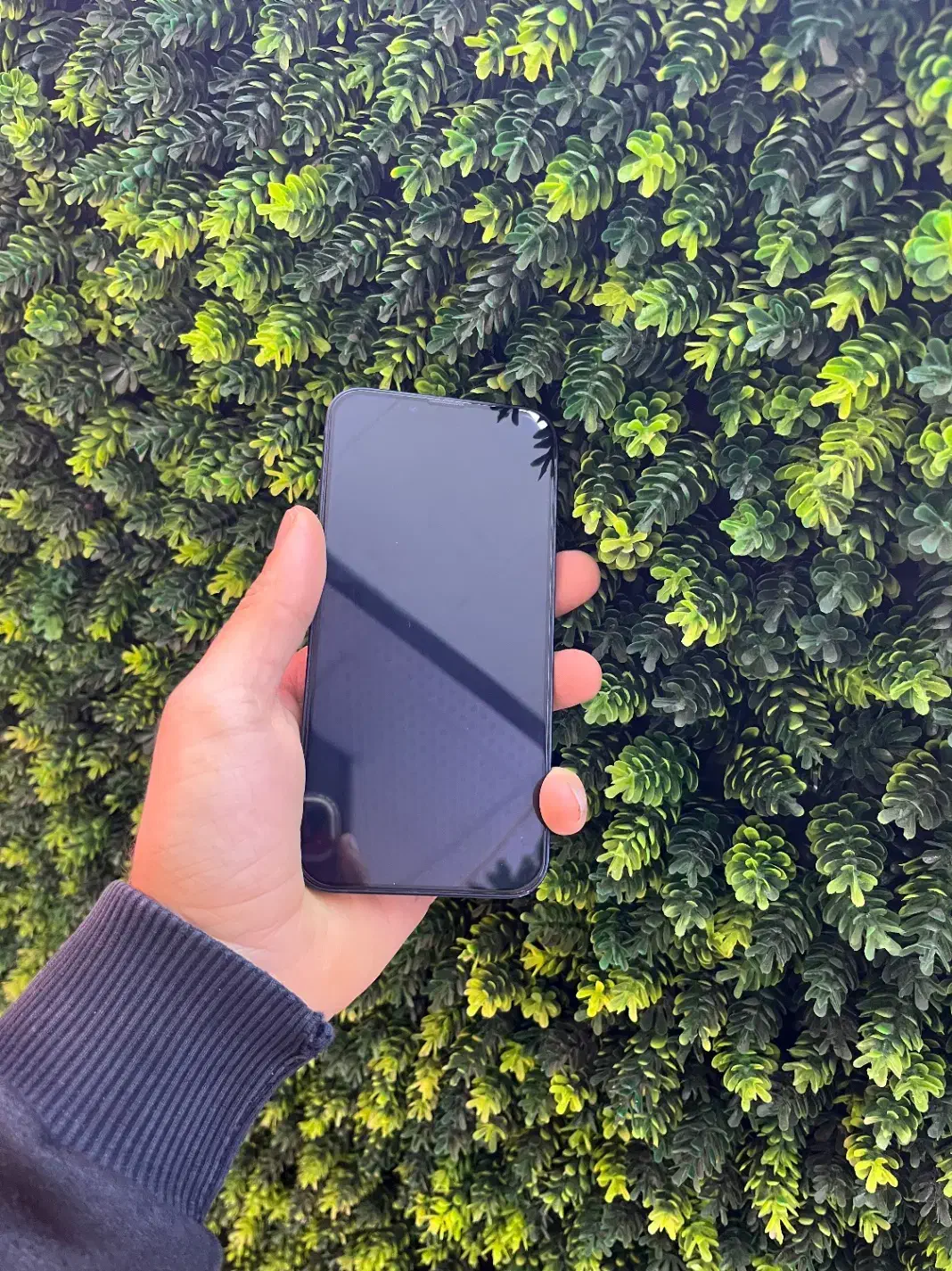 ایفون ۱۳نرمال|موبایل|ساری, |دیوار