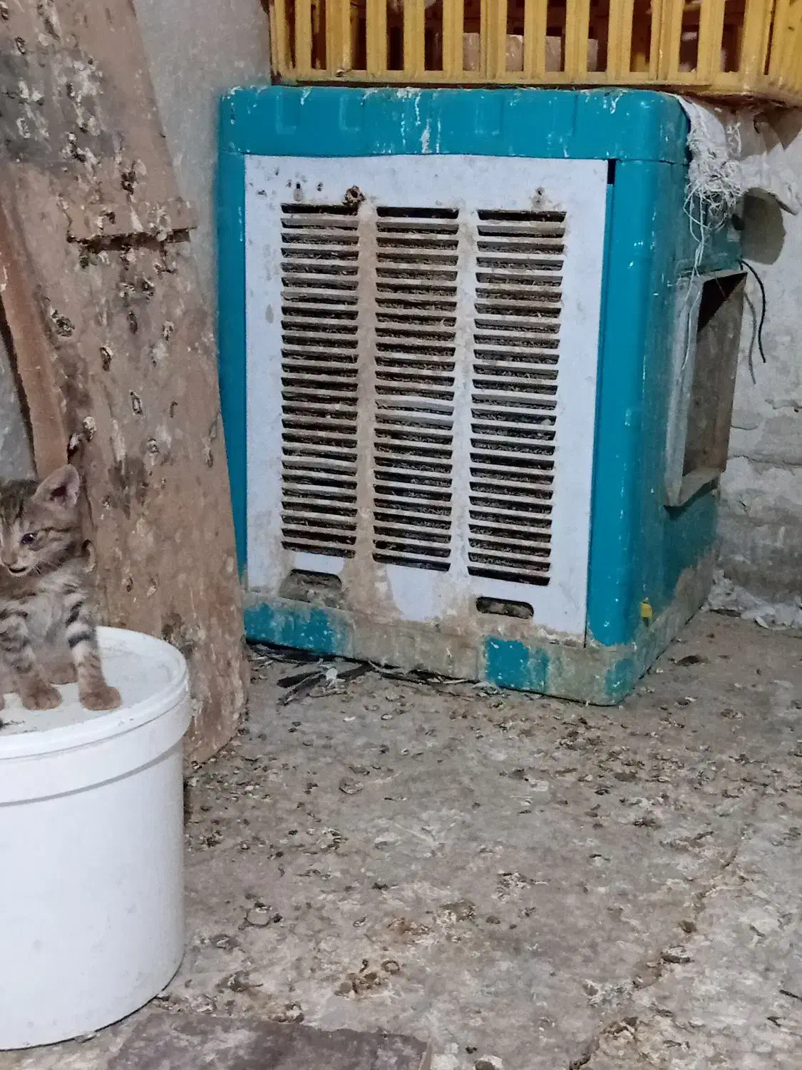 کولر آبی|کولر آبی|مسجد سلیمان, |دیوار