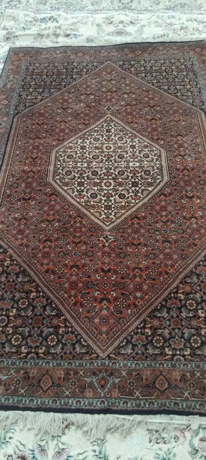 فرش دستبافت|فرش|سقز, |دیوار