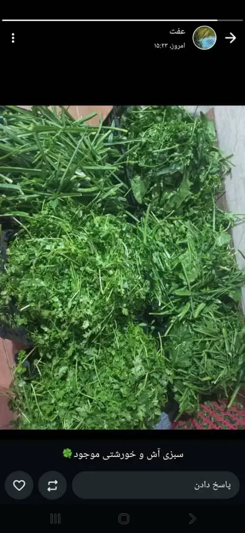 سبزی خورشتی و ماهی خوزستان رامهرمز|خوردنی و آشامیدنی|شاهینشهر, طالقانی|دیوار