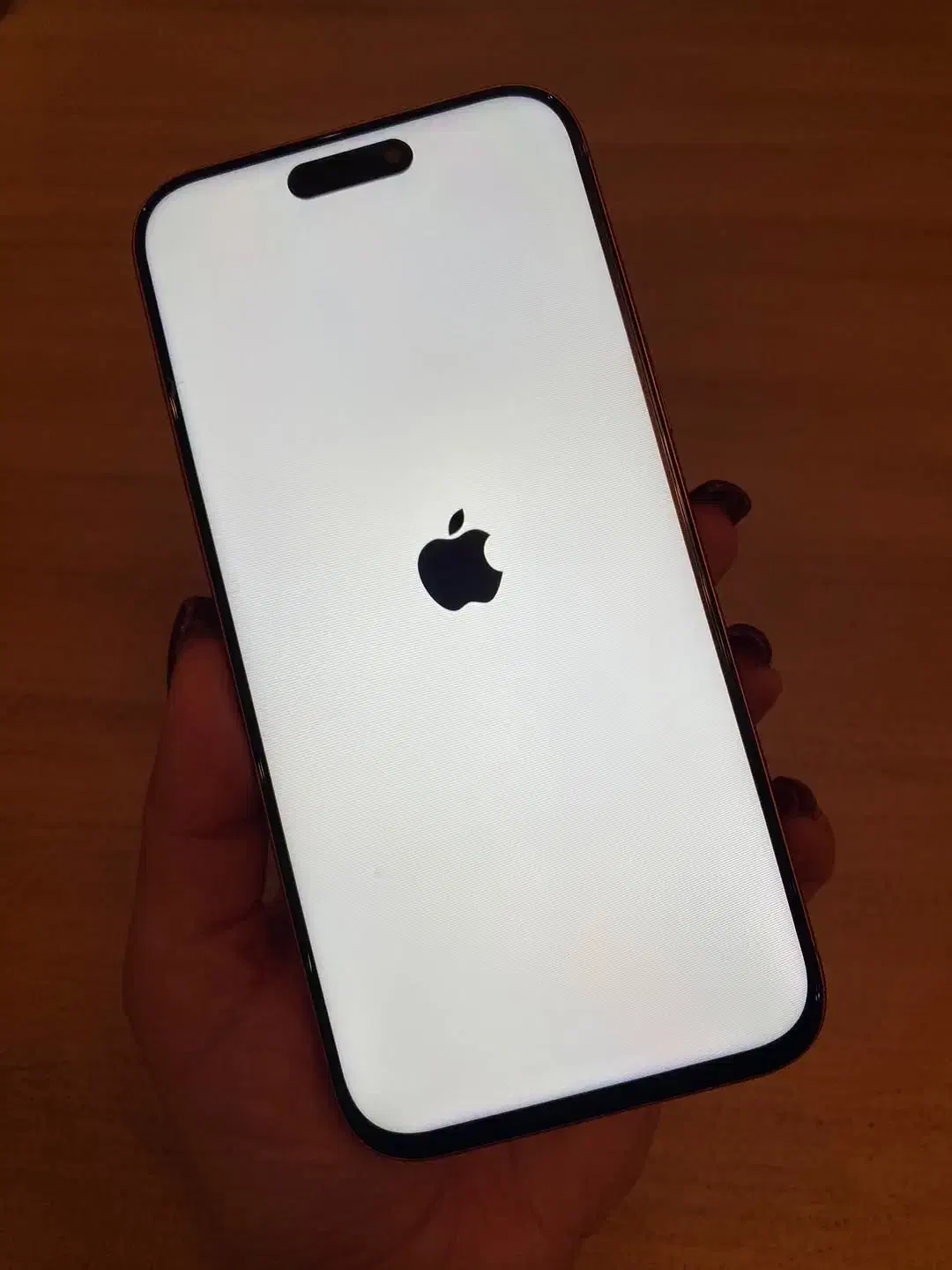 ایفون ۱۷ پرومکس فول با کیفیت و اقتصادی|موبایل|زابل, |دیوار