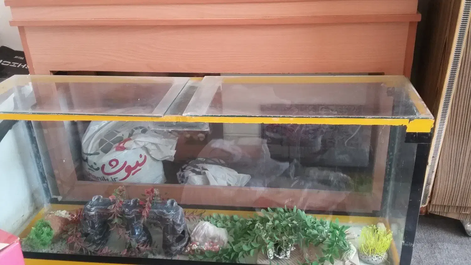 آکواریوم با کلبه چوبی و تمامی وسایل (بسیار تمیز )|ماهی|اصفهان, شهرک کاوه|دیوار