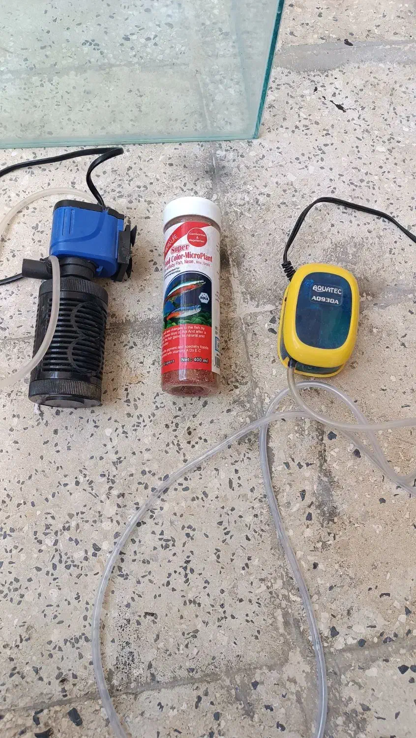 اکواریوم|ماهی|ساوه, |دیوار