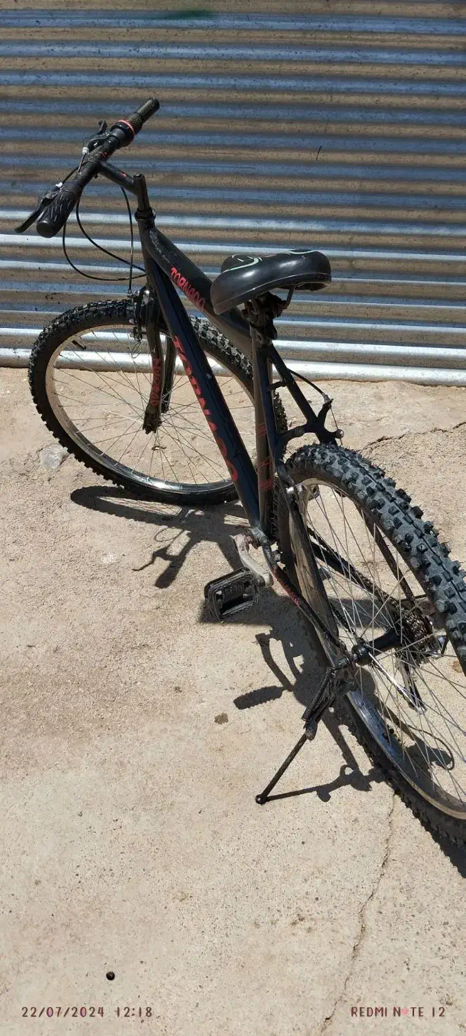 ردیفه ردیف دوچرخه|دوچرخه، اسکیت، اسکوتر|بروجرد, |دیوار