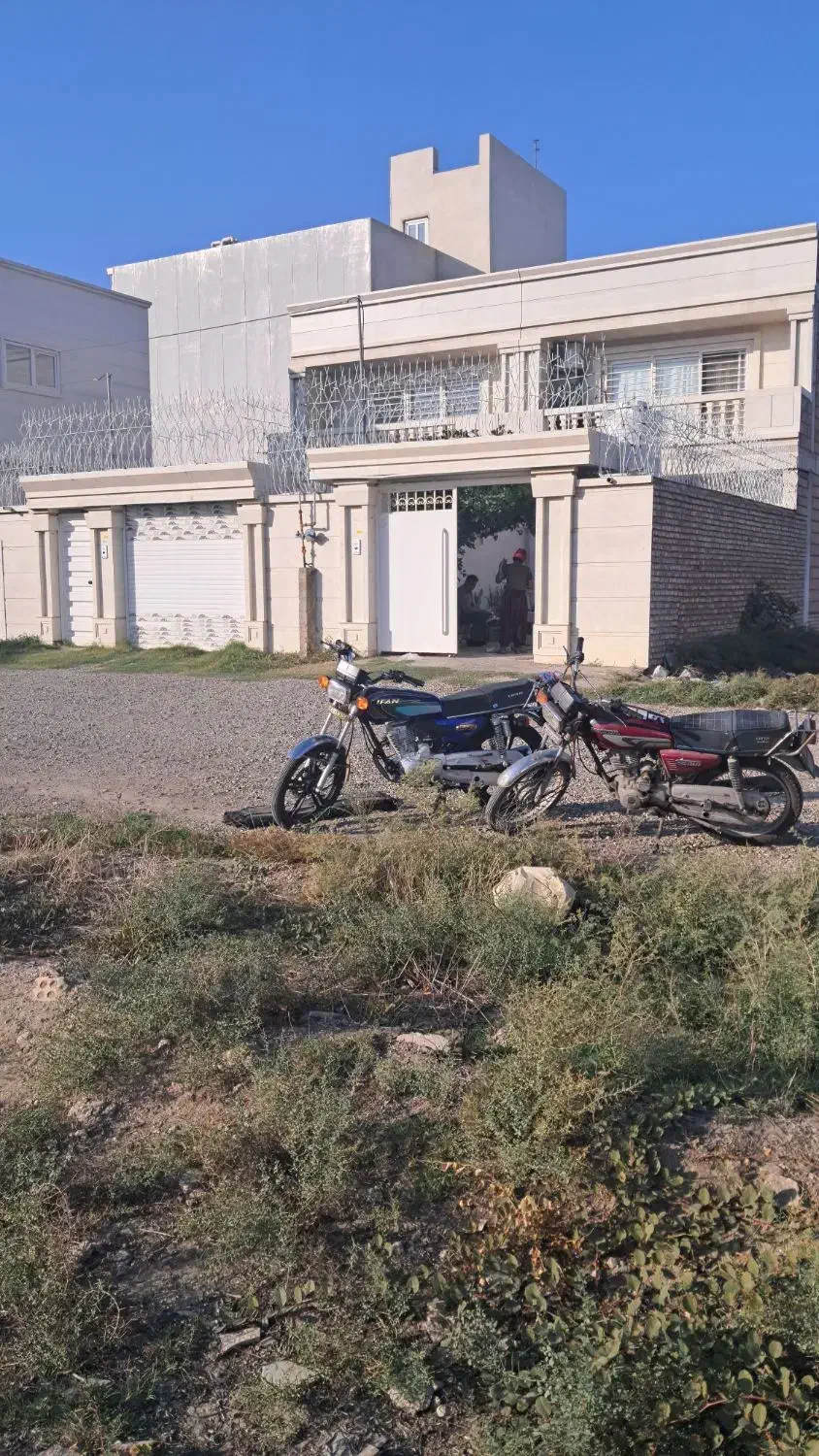 حفاظ شاخ گوزنی|خدمات پیشه و مهارت|گنبد کاووس, |دیوار